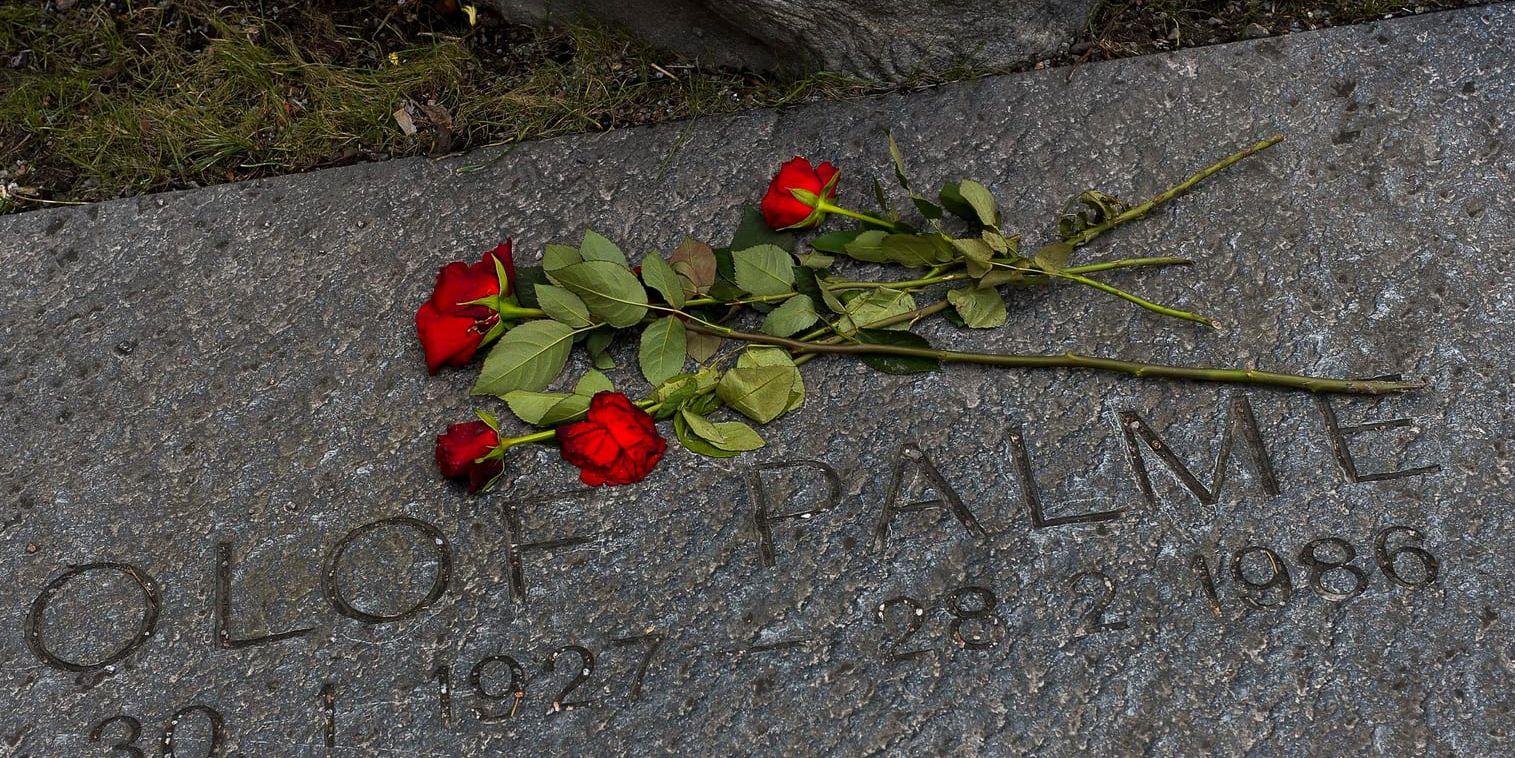 Rosor på Olof Palmes grav på Adolf Fredriks kyrkogård i Stockholm. Arkivbild.