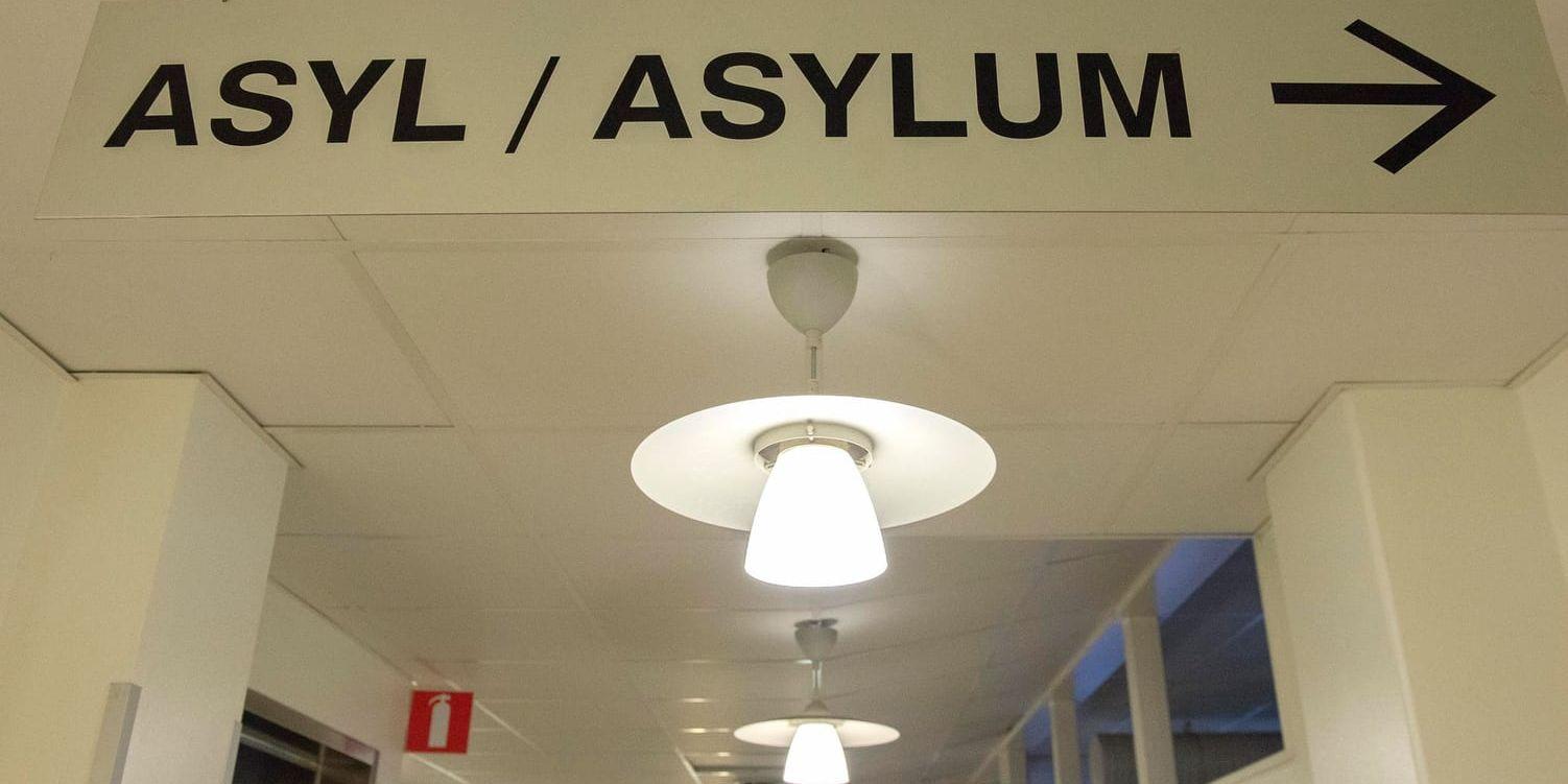 Migrationsverket dömer ut den statliga utredningen om asylmottagande. Arkivbild.