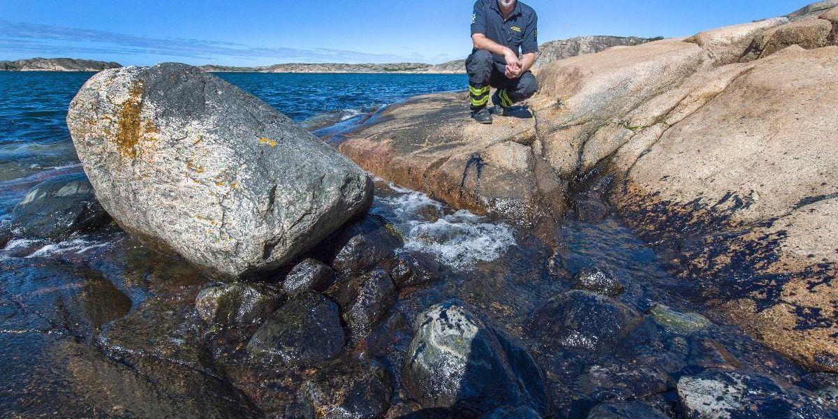 Heestrand. Göran Gustavsson, räddningstjänsten, med en sorglig utsikt över klipporna efter oljeutsläppet i juni.