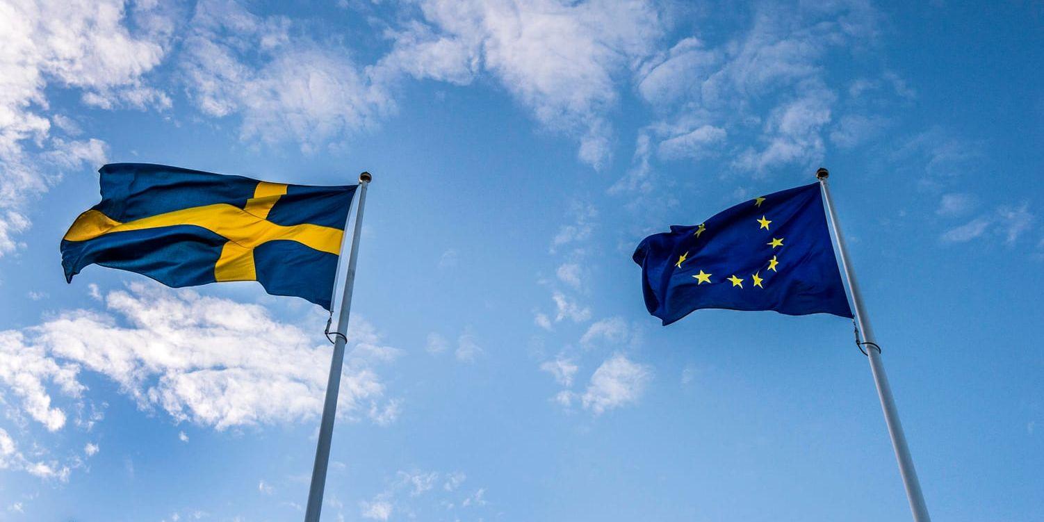 68 procent av de tillfrågade svenskarna anser att det är bra att Sverige är med i EU. Arkivbild.