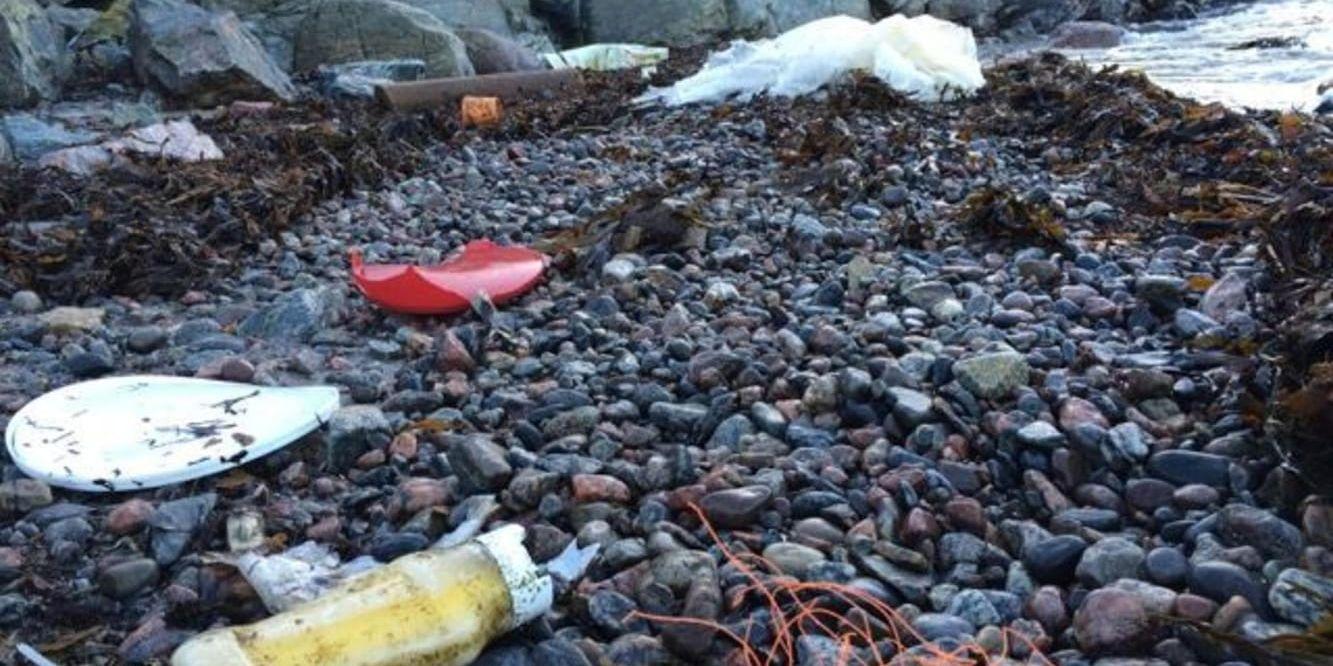 Över 30 000 säckar plast och dessutom en massa annat skräp. Så lyder resultatet av en rejäl städning längs med Bohusläns stränder.