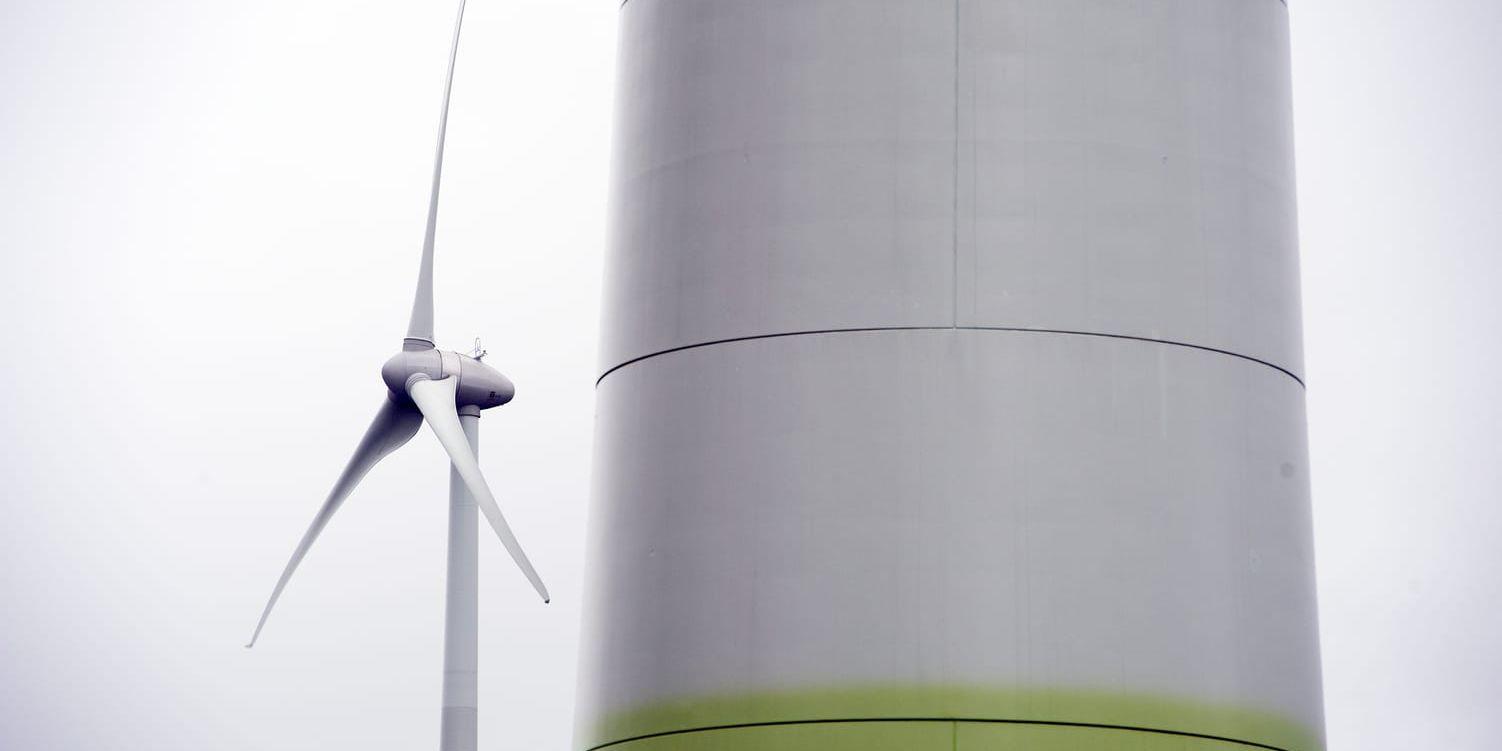 Nu har ansökan om att få bygga 13 stycken 200 meter höga vindkraftverk i norra delen av Tanums kommun godkänts. (Arkivbild)