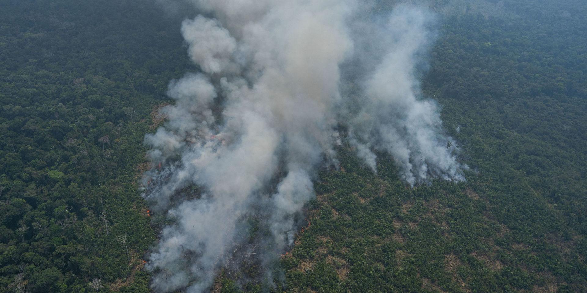 Hundratals nya bränder rasar i Amazonas.