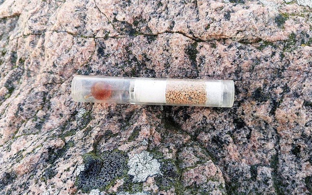 
Så här ser ampullen ut som hittades av strandstädare på Nypholmen förra veckan. Bild: Ingela Sörqvist





