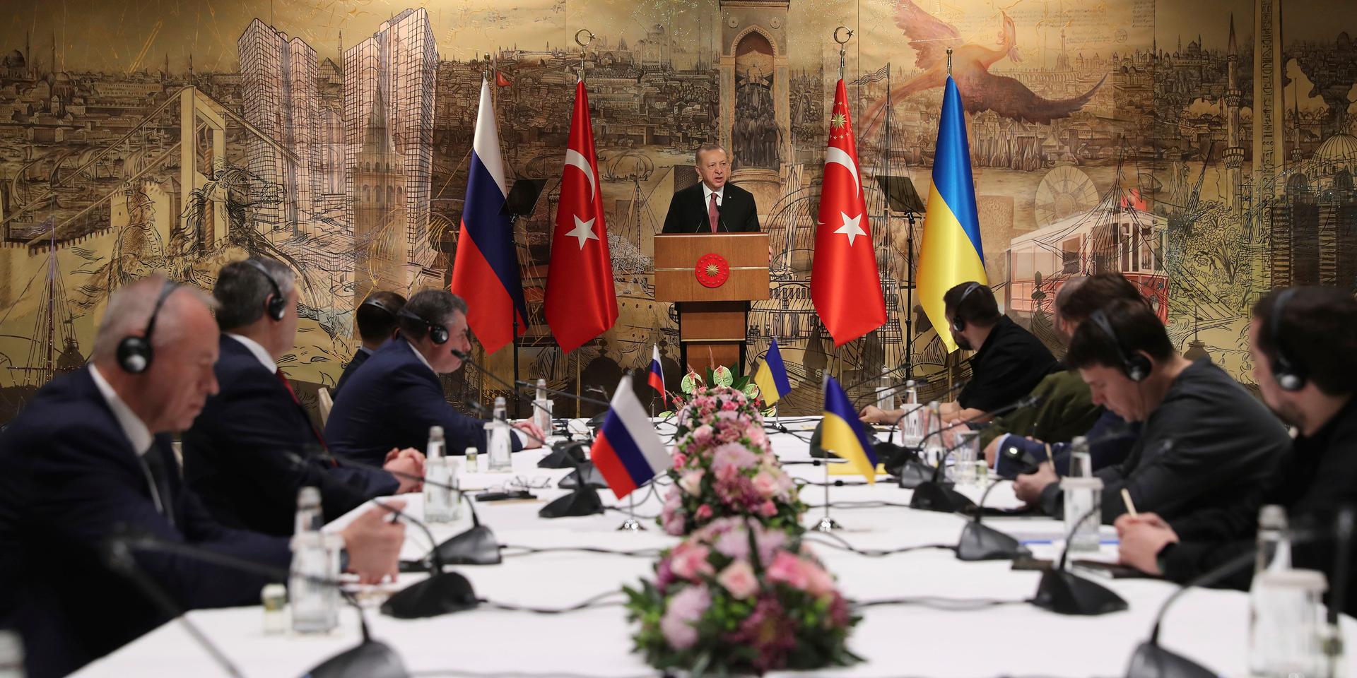 Turkiske presidenten Recep Tayyip Erdogan inledde tisdagens fredsförhandlingar i Istanbul med att uppmana till ett ”slut på tragedin” som är konflikten mellan Ryssland och Ukraina. 