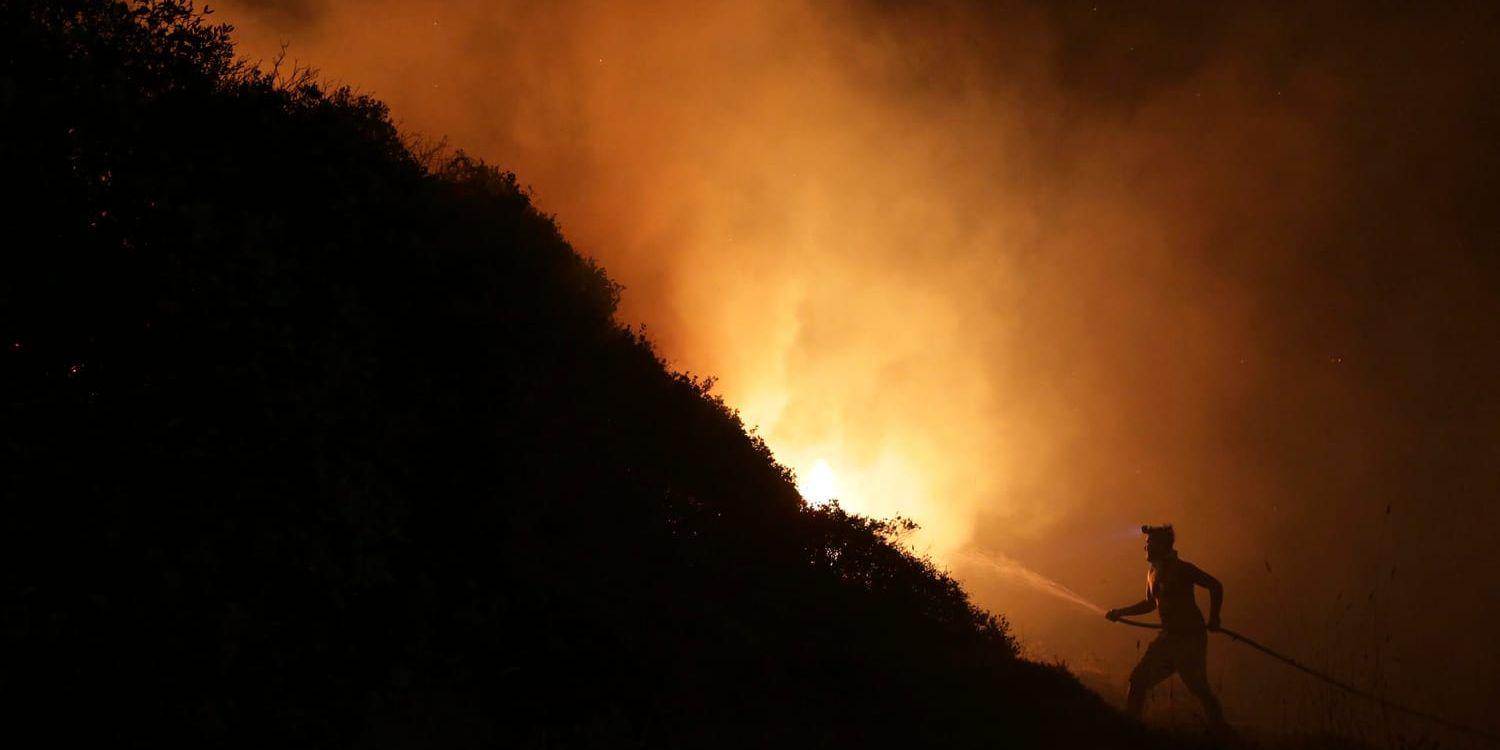 Extremväder som ovanlig hetta orsakade av klimatförändringarna tros leda till fler skogsbränder, som i exempelvis Portugal i oktober 2017, då över 60 människor omkom. Arkivbild.