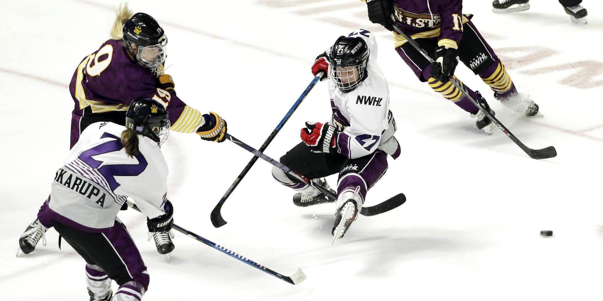 Den amerikanska damhockeyligan NWHL planerar att genomföra en hel säsong på två veckor. Arkivbild.