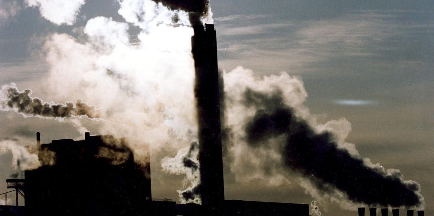 Drygt 8 000 svenskar dör varje år till följd av luftföroreningar. På bilden utsläpp från ASSI i Karlsborg.