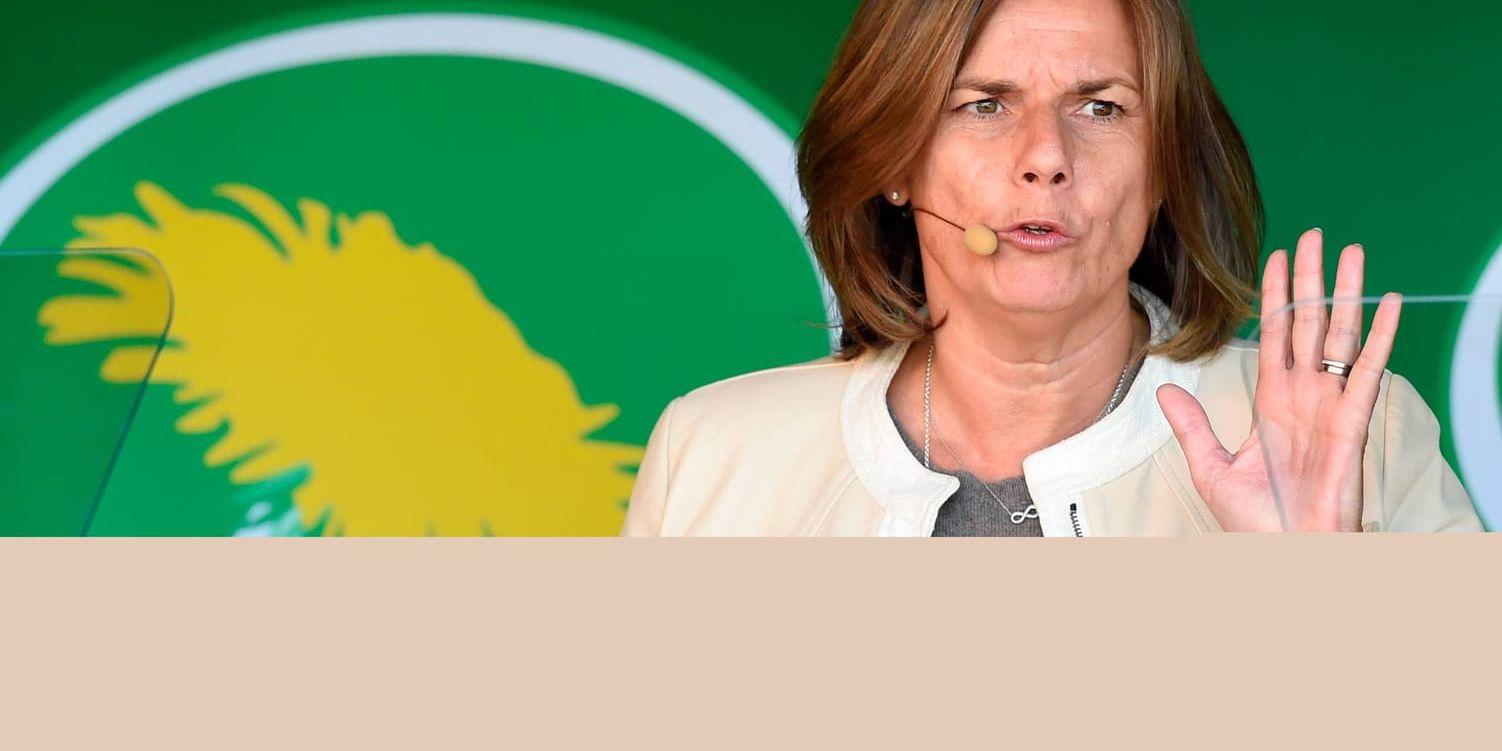 Miljöpartiets språkrör Isabella Lövin (MP) lovade pengar till industrins klimatomställning i sitt sommartal i Avesta.