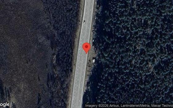 Rådjur på fel sida viltstängslet på E6