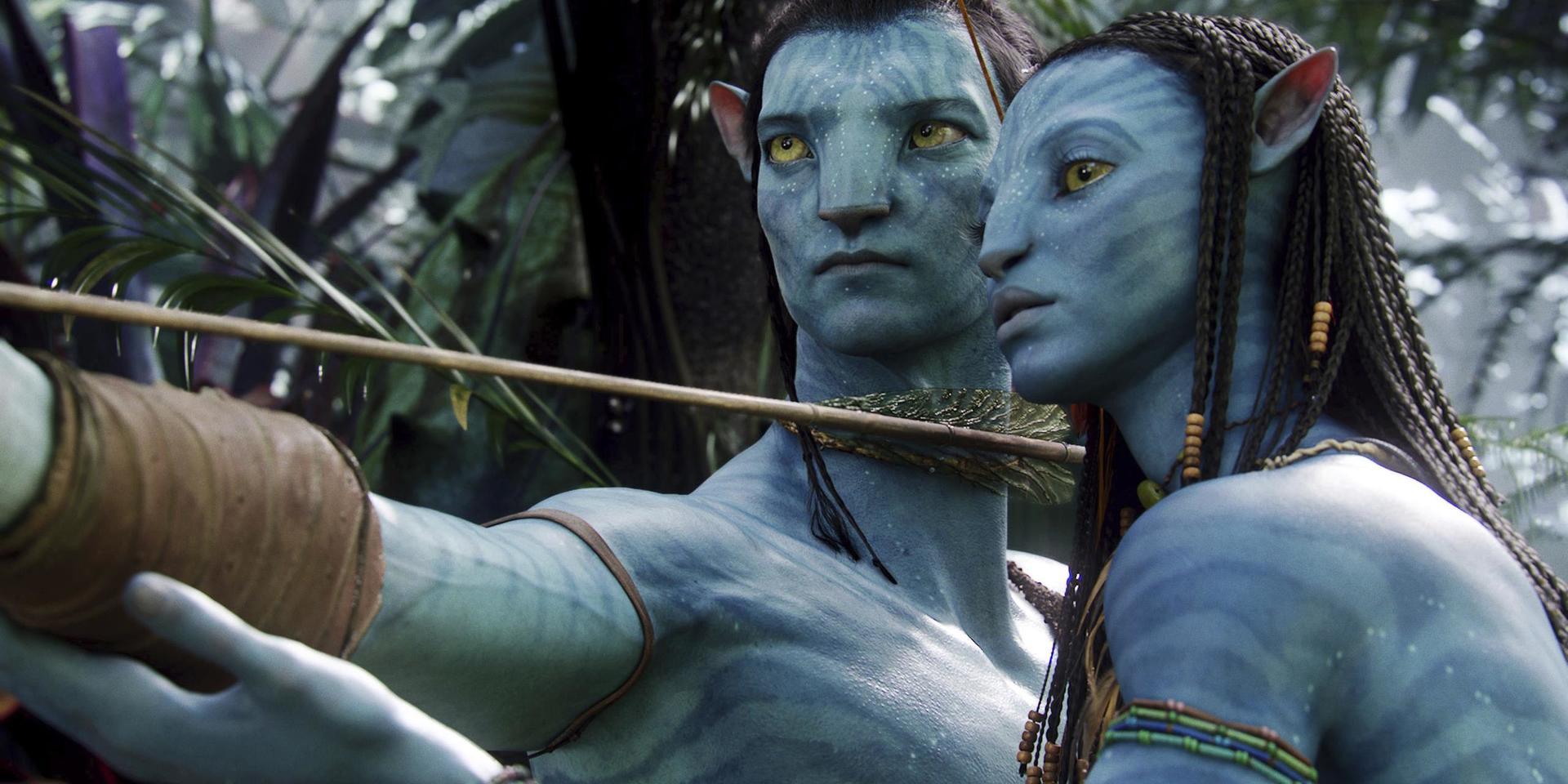 På bilden syns karaktärerna Neytiri (till höger) och Jake i 'Avatar' från 2009. Arkivbild.