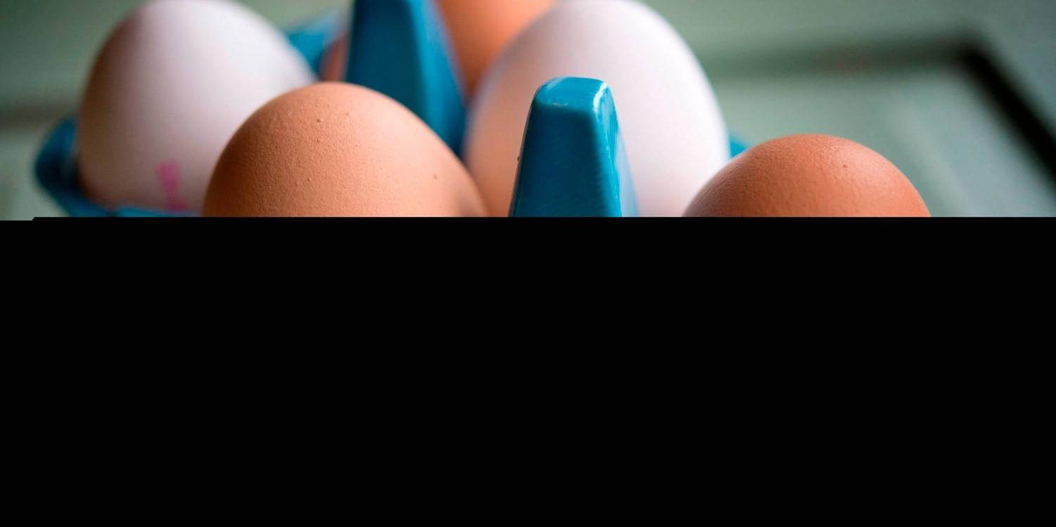 Livsmedelsverket ska analyseras svenska ägg efter giftskandalen i Nederländerna. Arkivbild.
