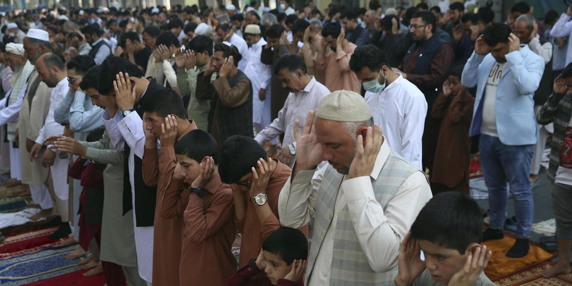 Afghanska muslimer ber under id al-adha i Kabul. 