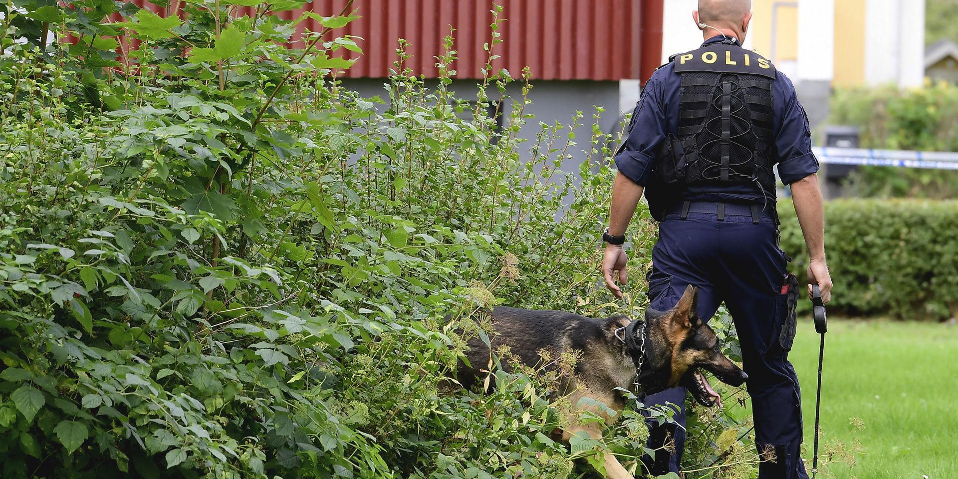 Att i ett tidigt skede använda polishundar har visat sig var en framgångsfaktor för polisens utredningsarbete. Arkivbild. 