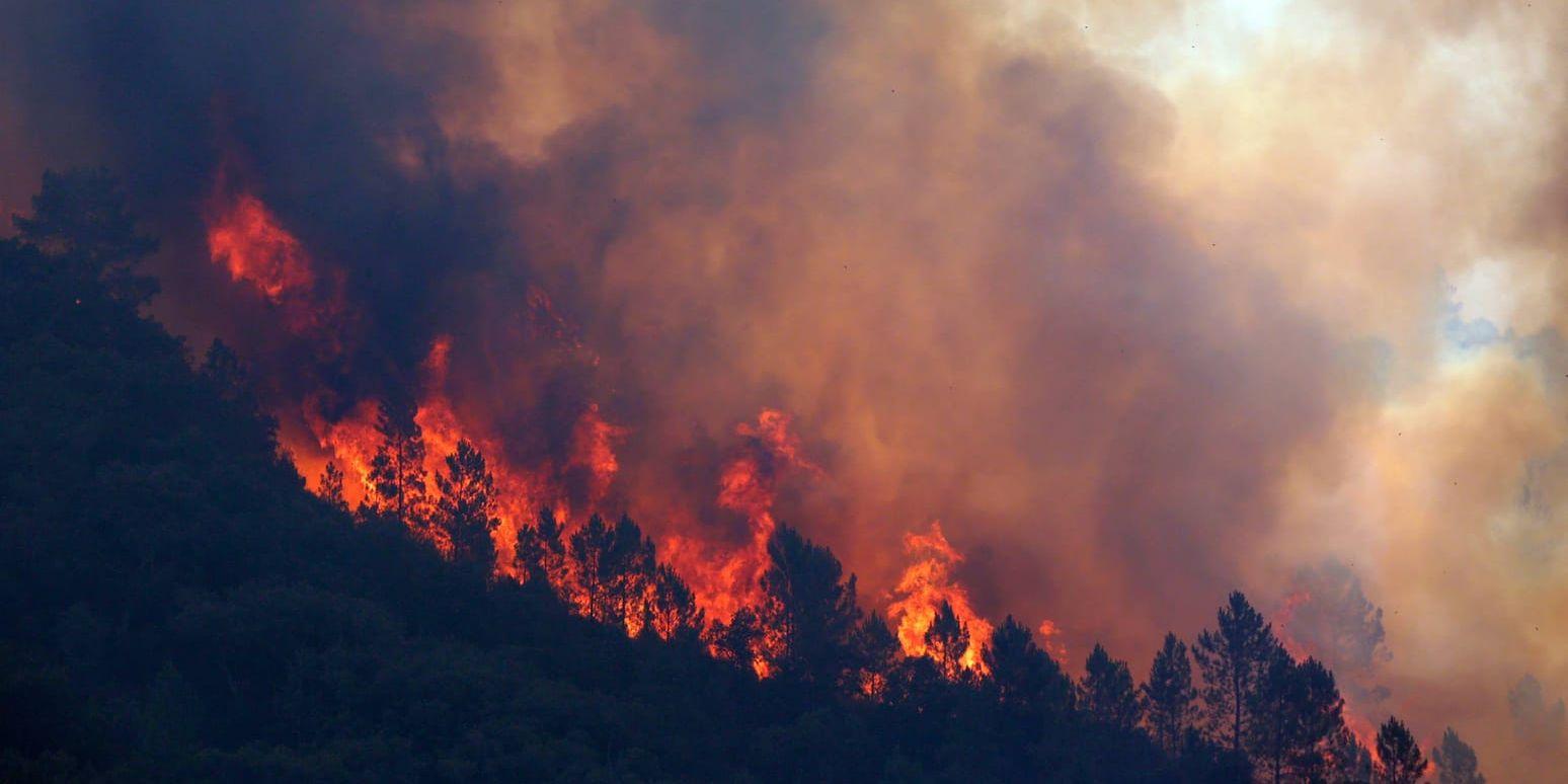 Brandrisken är stor i Portugal. Bilden är från en skogsbrand i centrala Portugal i slutet av juli.
