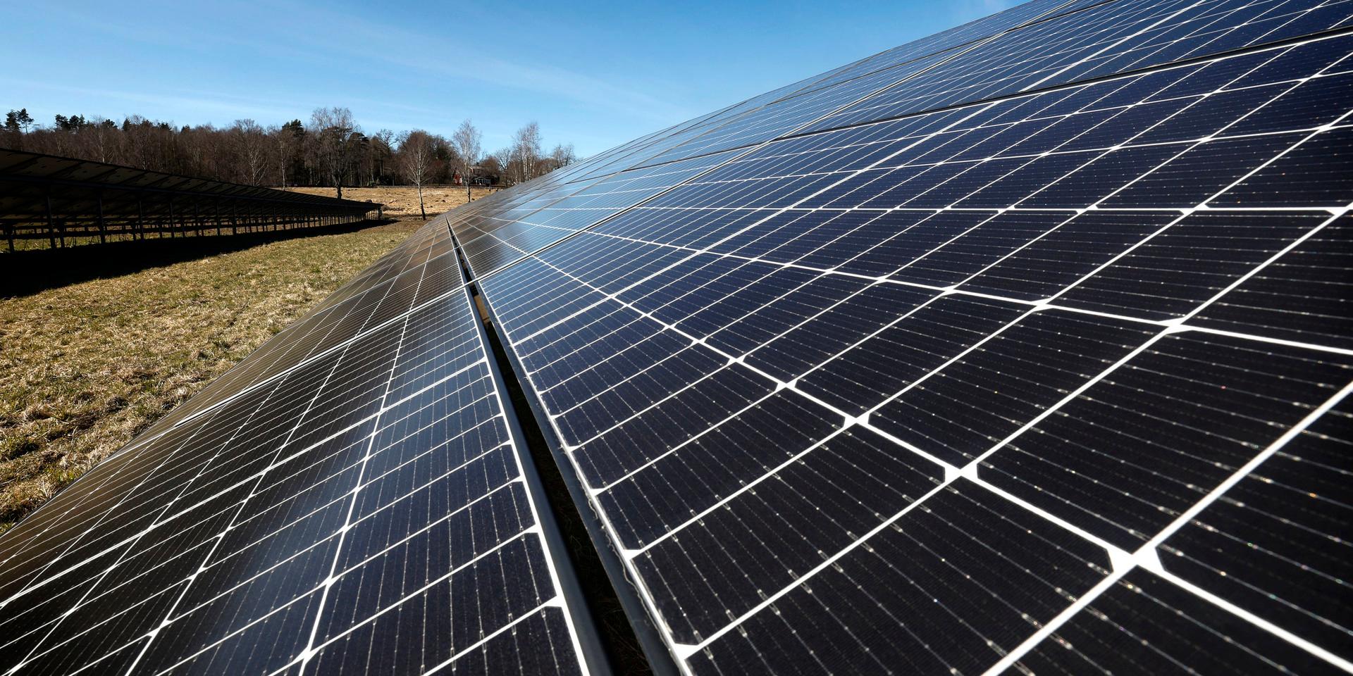 Efter de skyhöga elpriserna under vintern investerar svenskarna i solceller som aldrig förr. 