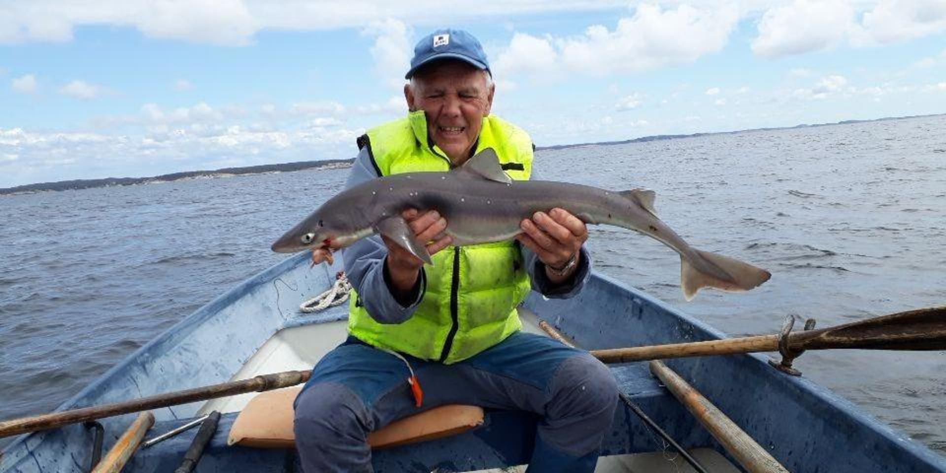 Charlie Malmgren fiskade upp en pigghaj i Kosterfjorden.