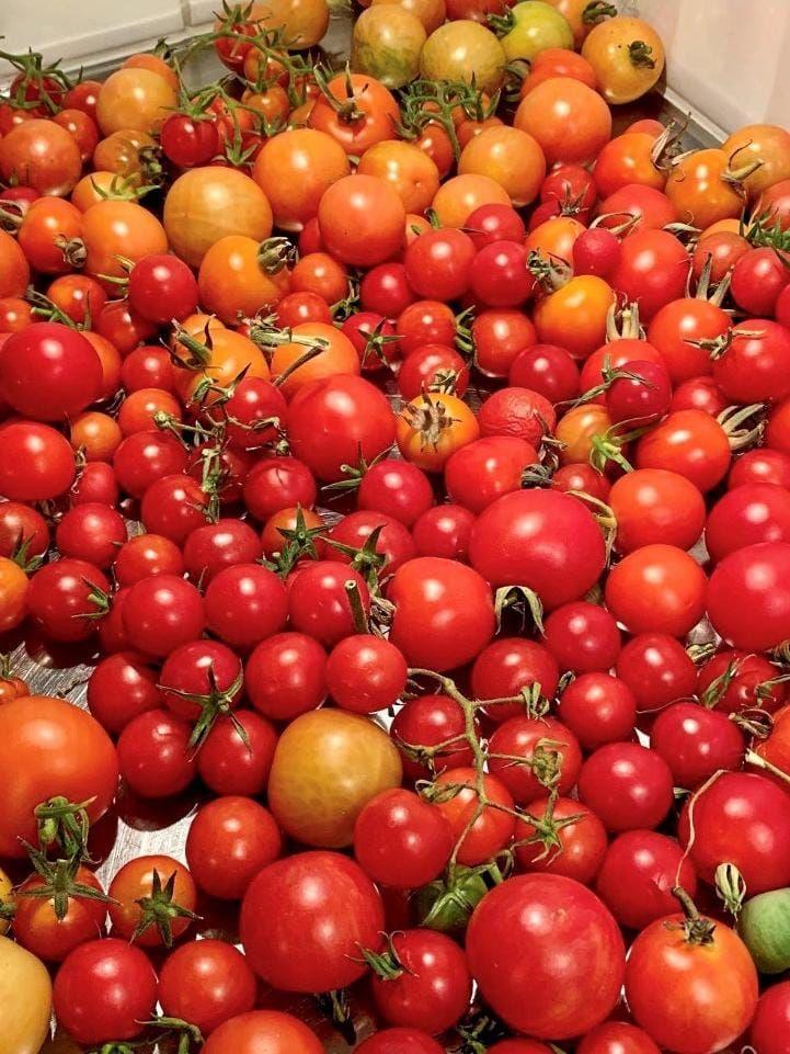 Hushållet håller sig med runt 50 tomatplantor. De köper aldrig passerade eller krossade tomater.