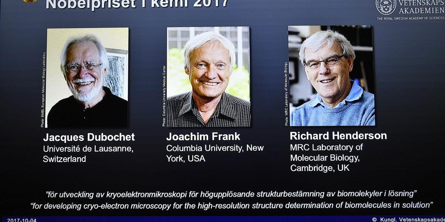 Årets Nobelpristagare i kemi är Jacques Dubochet, Joachim Frank och Richard Henderson.
