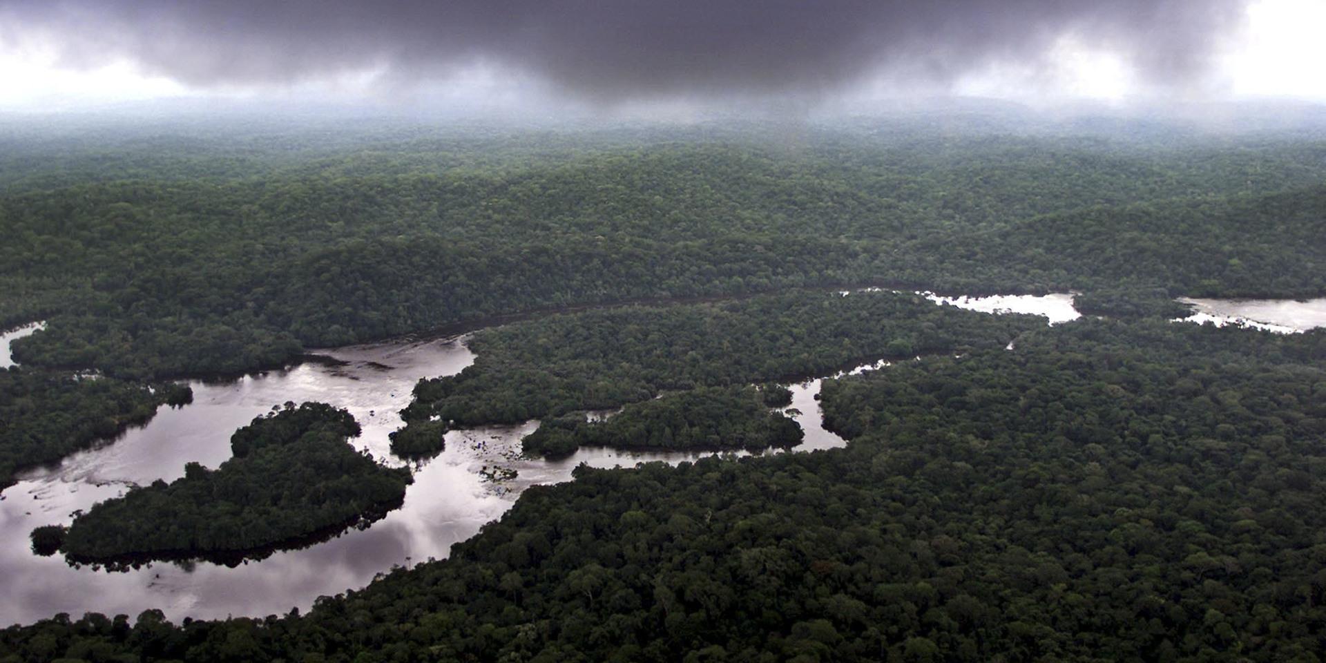 Gabon täcks till större delen av regnskog.