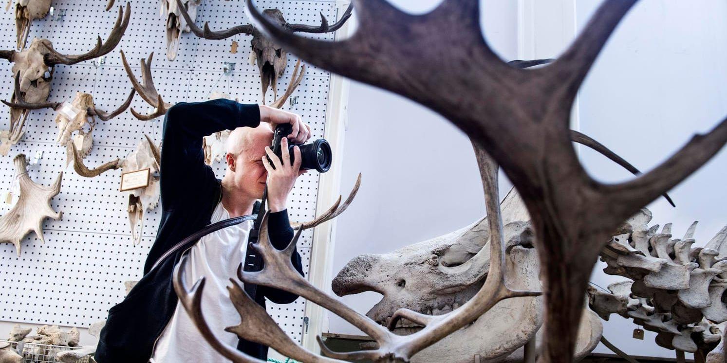 Christoffer Collin sysslar sedan 2013 med fotograferandet på heltid. Här syns han på Naturhistoriska riksmuseet. Arkivbild.