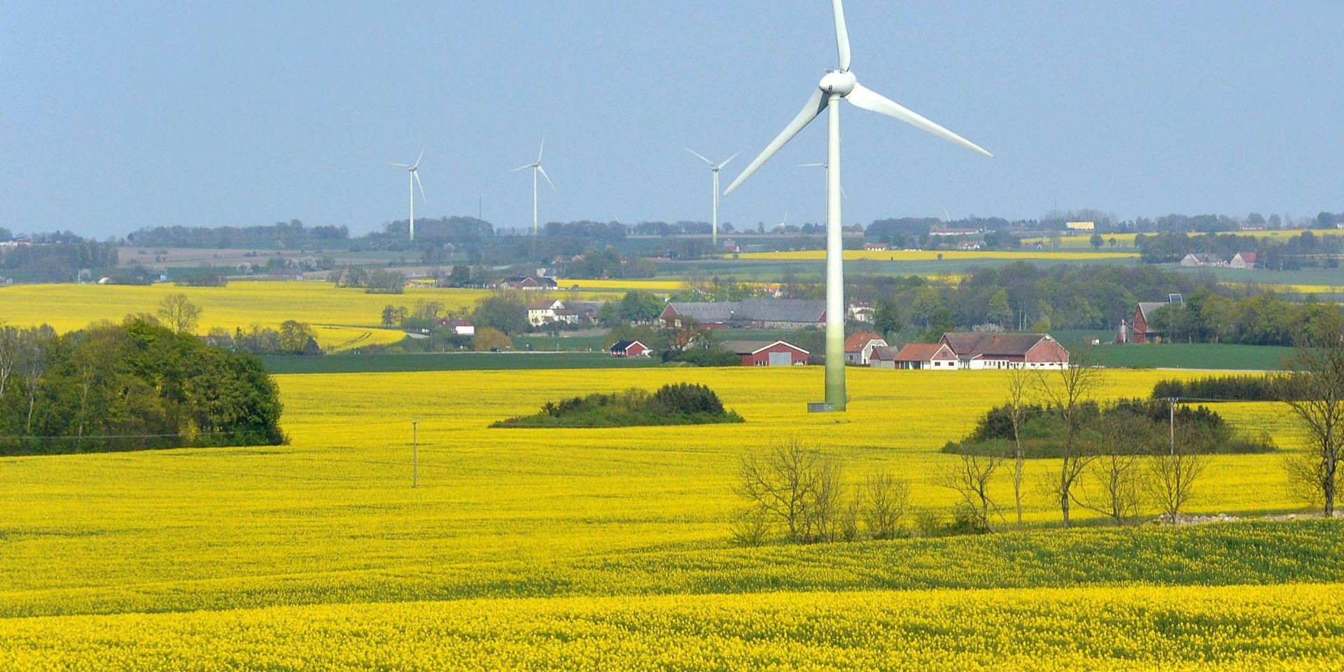 Ett vindkraftverk utanför Lund i Skåne. Arkivbild.