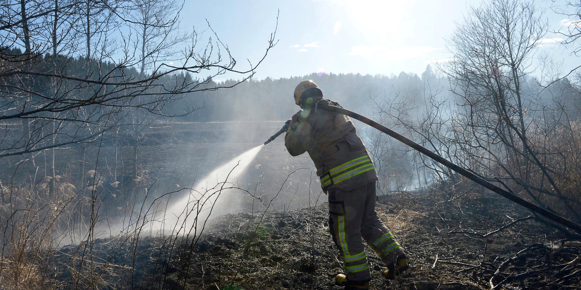 Under de senaste dagarna har flera larm om gräsbränder inkommit till räddningstjänsten i Västra Götalandsregionen, däribland i Nygård på lördagen.