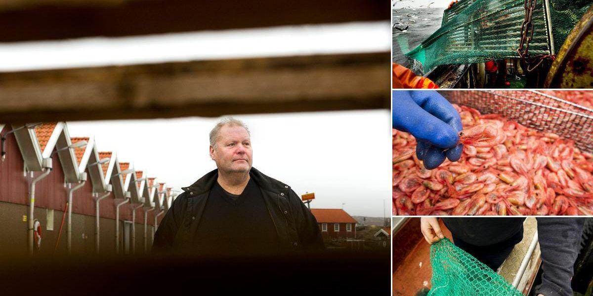 Upprörd. Naturskyddsföreningens krav om förbud för bottentrålning för svenska fiskare är oseriöst, anser Peter Ronelöv-Olsson, ordförande i Sveriges Fiskares Producentorganisation.