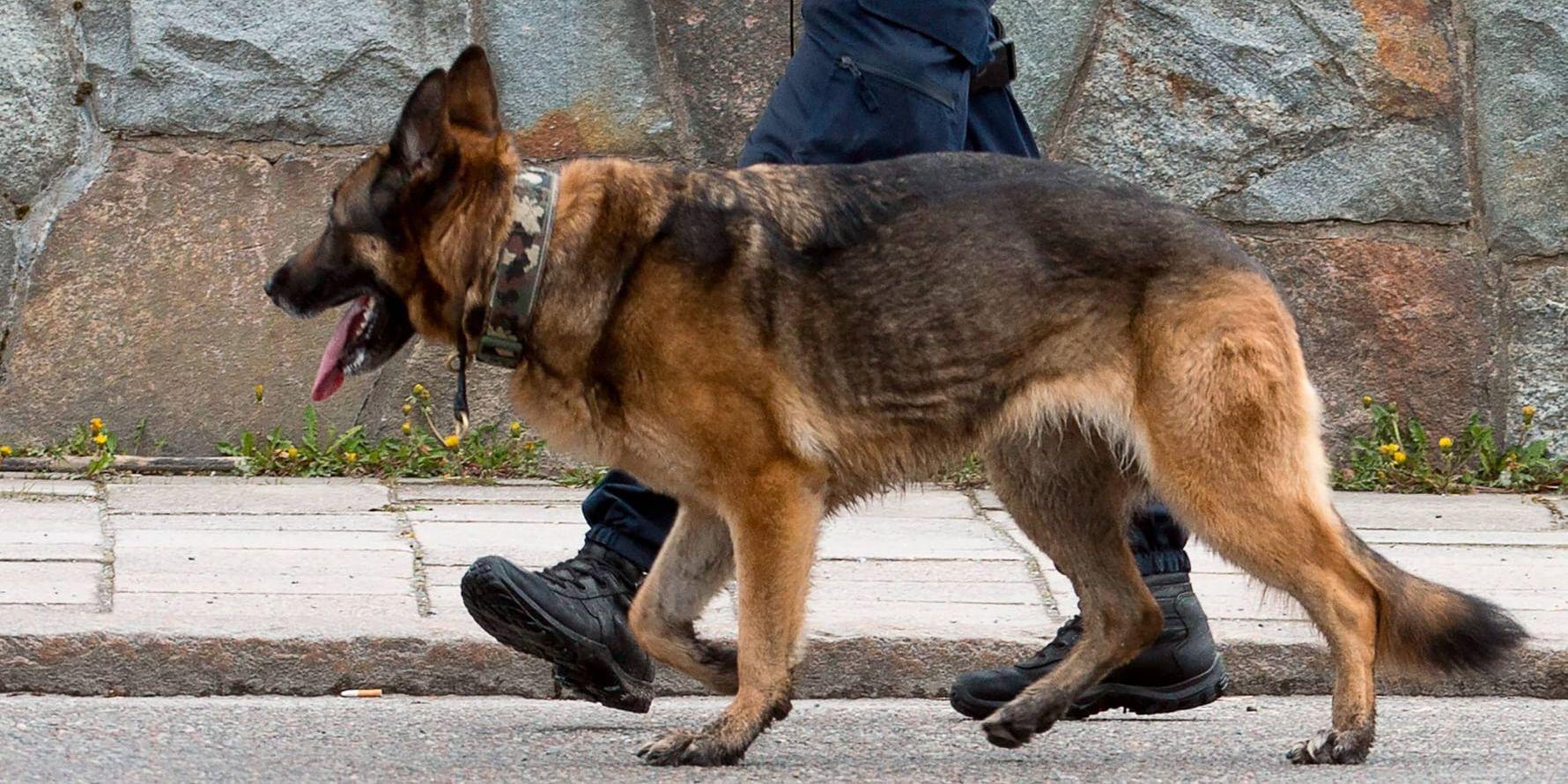 Polisen sökte rätt på mannen med hjälp av hund. Arkivbild.