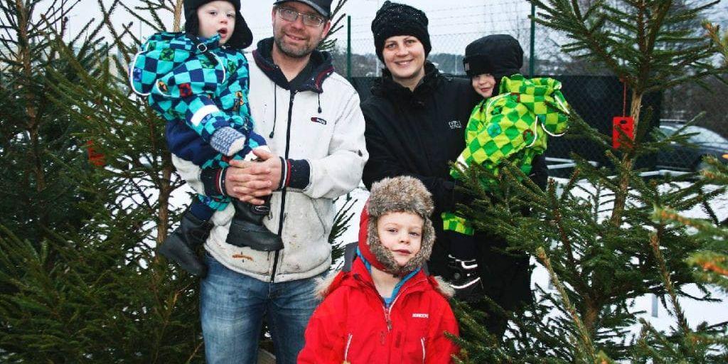 Familjen Kärnberg med pappa Jörgen, mamma Linn, tvillingarna Isak och Edvin samt storebror Jakob, köpte sin julgran i fredags.