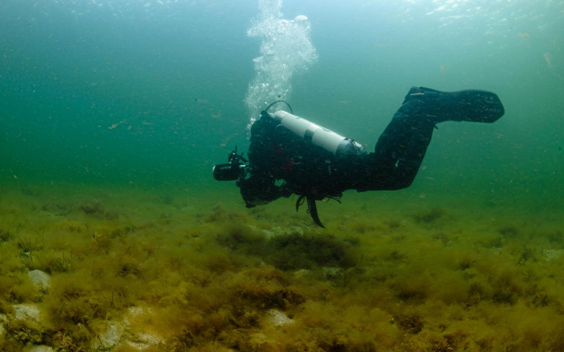 Första dyket – efter 20 års uppehåll – visade en dramatisk förändring i den marina miljön utanför Bohuskusten. Annette Seldén beskriver det som att hon fick en chock.