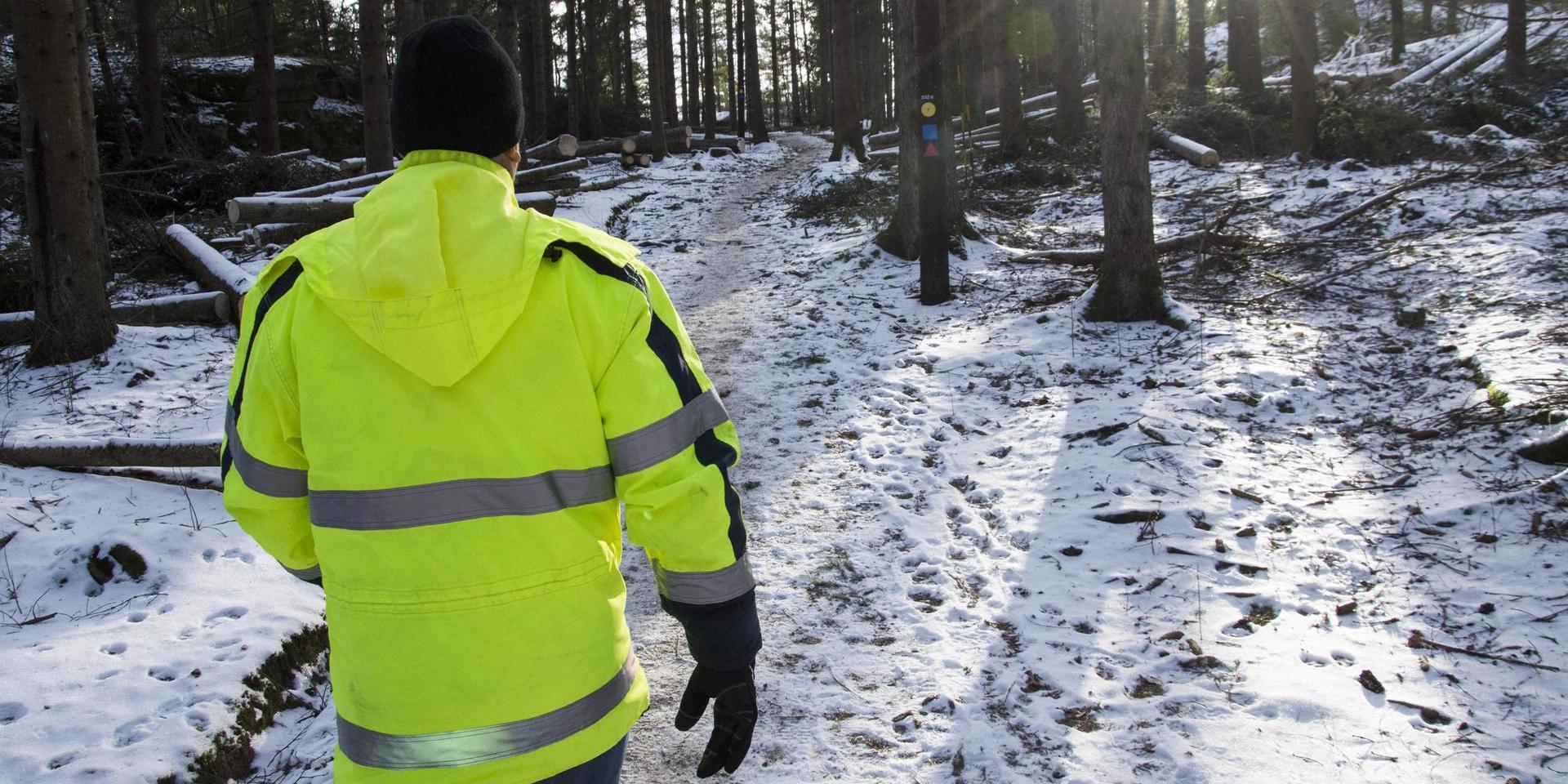 Ungefär 40 procent av träden i Erlandseröd står kvar efter plockhuggningen. 