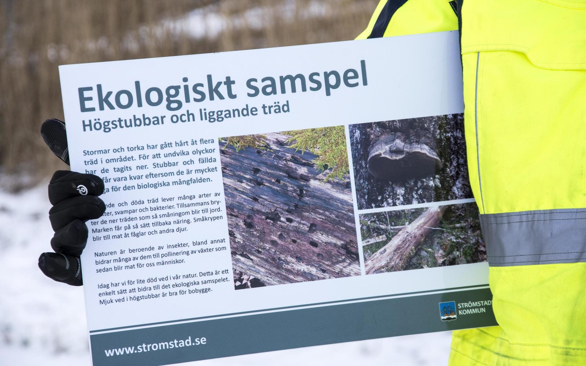 För att sprida kunskap om biologisk mångfald planerar Conny Hansson att sätta upp skyltar i Strömstads skogar. 
