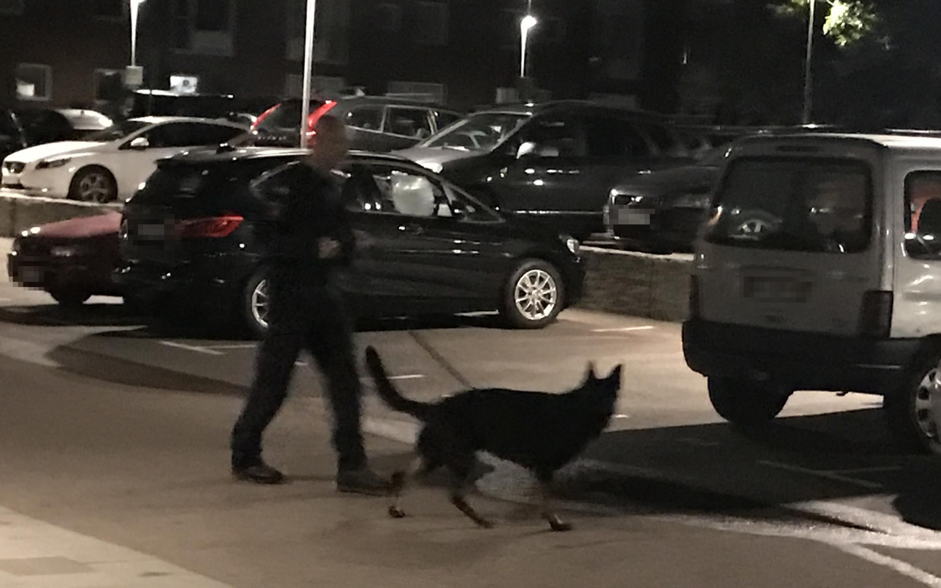 Polis sökte av området med hund.