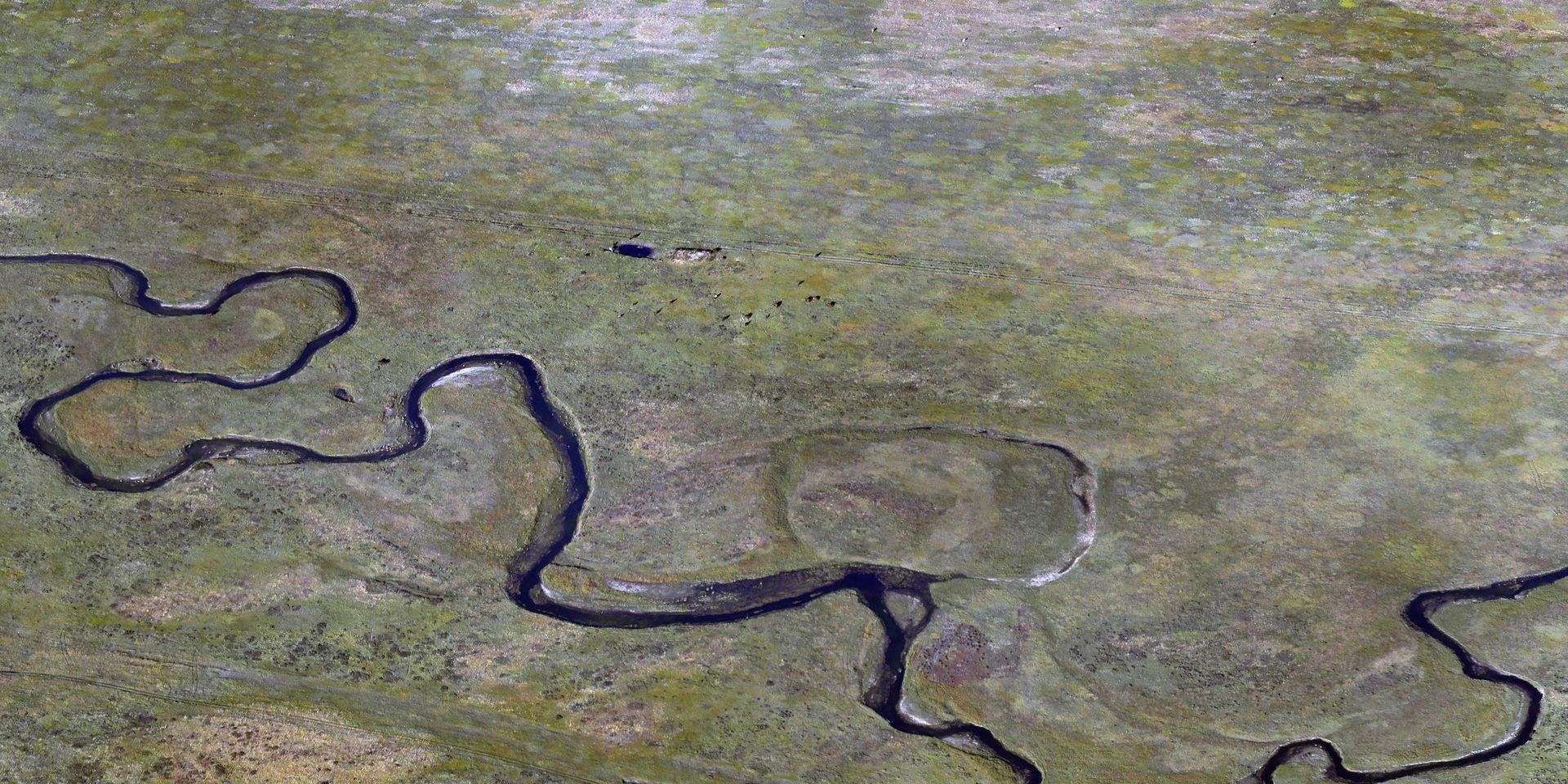 En uråldrig lärka hittades nästan intakt i delrepubliken Sacha i Ryssland. Arkivfoto från östra Sibirien. 