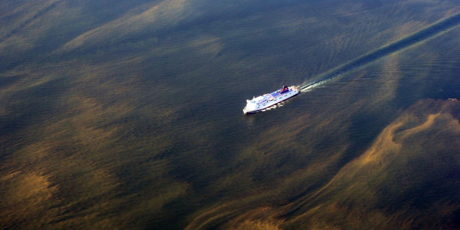 Algblomning i Östersjön sommaren 2014. Utsläppen av fosfor och kväve, som orsakar övergödning och algblomning, minskar. Men det dröjer innan havets ekosystem har återhämtat sig. Arkivbild.