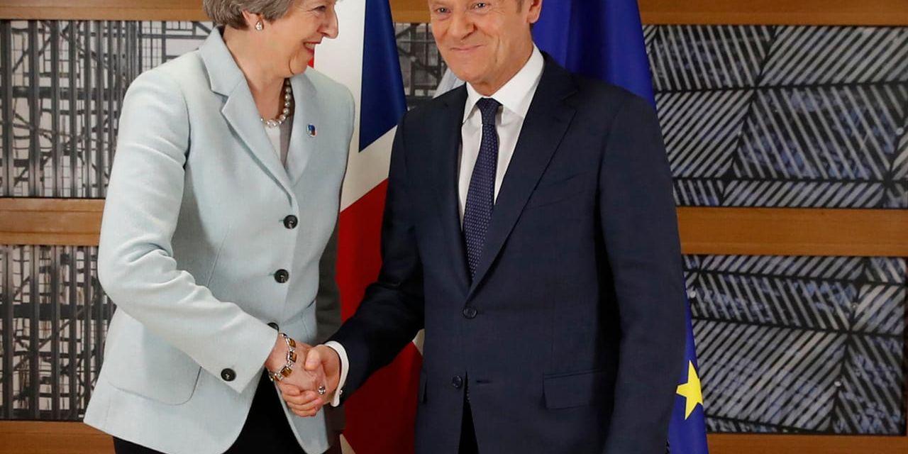 Storbritanniens premiärminister Theresa May med EU:s permanente rådsordförande Donald Tusk under ett möte i förra veckan.