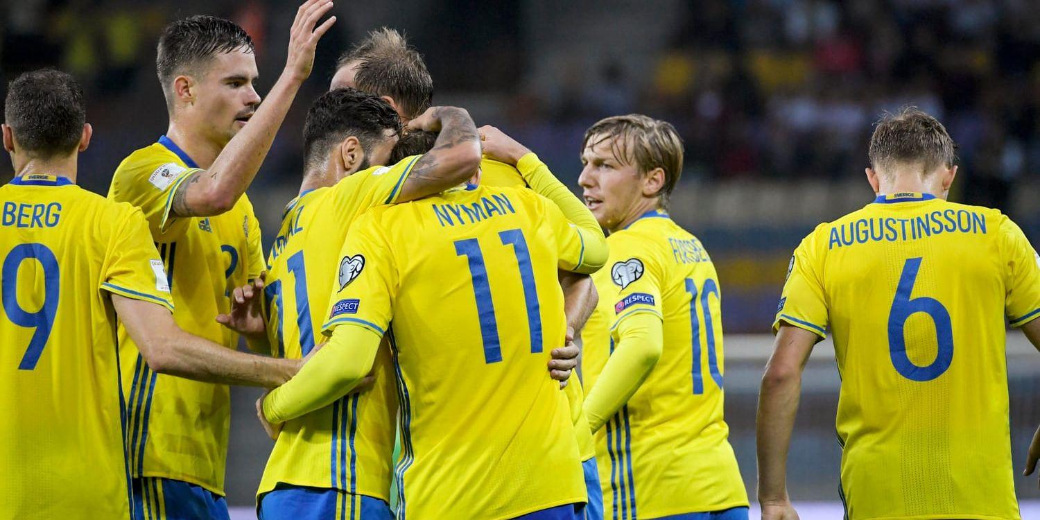 Svenska landslaget spelar landslagsturnering nästa höst. Arkivbild.